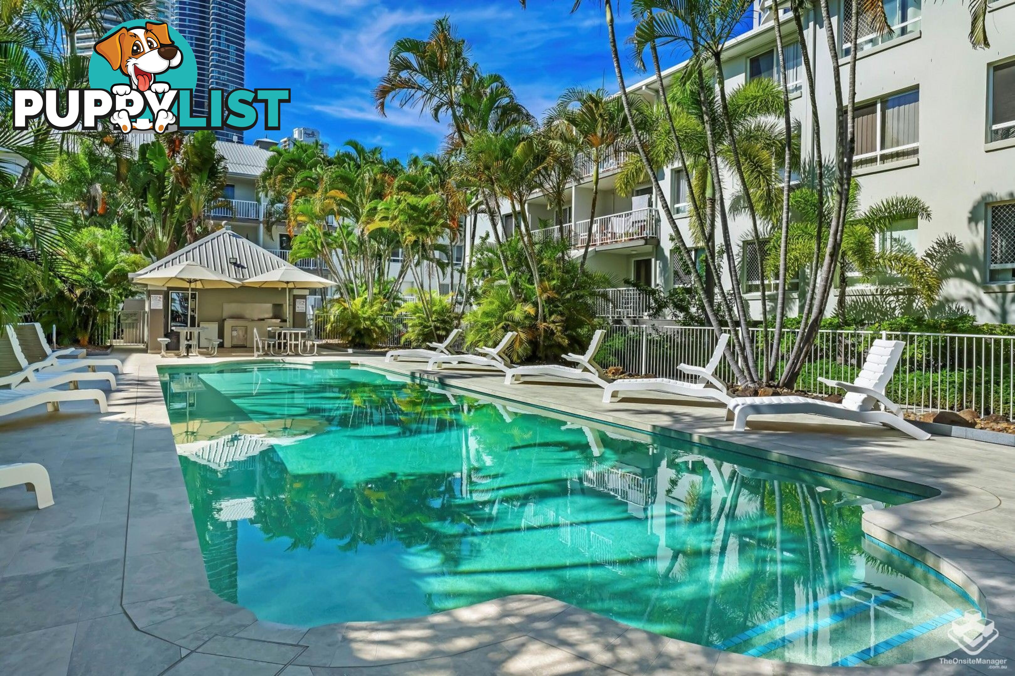 ID:21154314 35 Palm Avenue Surfers Paradise QLD 4217