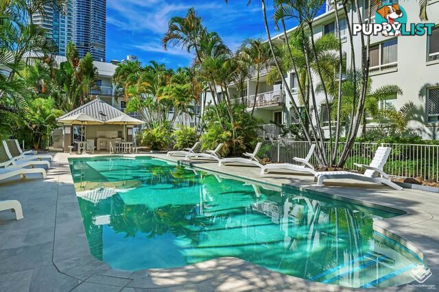 ID:21154314 35 Palm Avenue Surfers Paradise QLD 4217