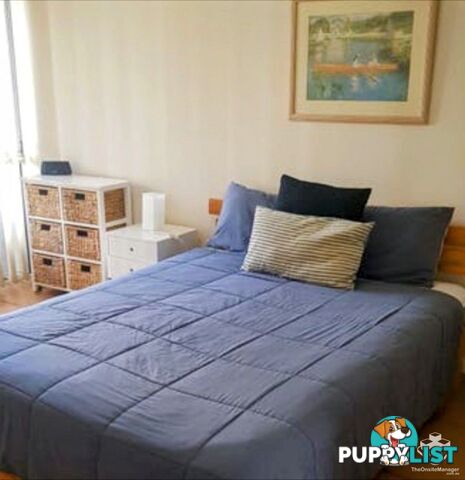 ID:21154314 35 Palm Avenue Surfers Paradise QLD 4217