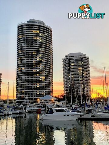 Runaway Bay QLD 4216