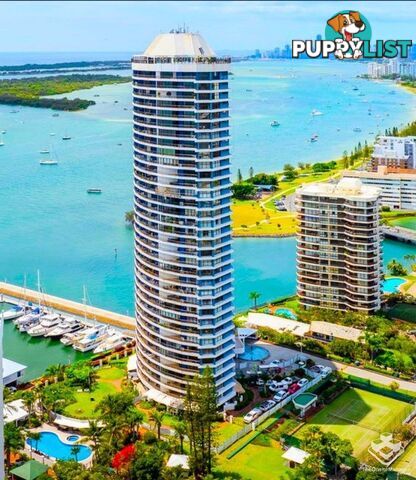 Runaway Bay QLD 4216