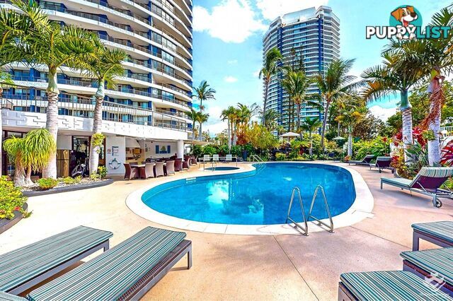 Runaway Bay QLD 4216