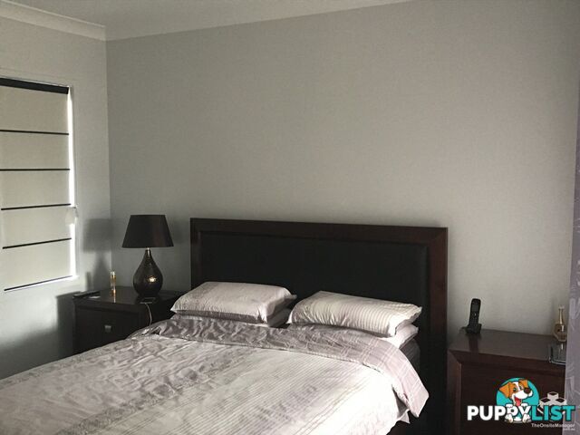 58 Odense Street Fitzgibbon QLD 4018