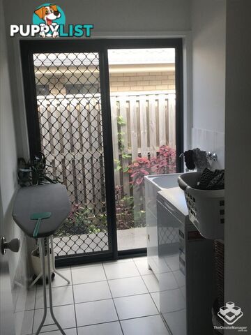 58 Odense Street Fitzgibbon QLD 4018
