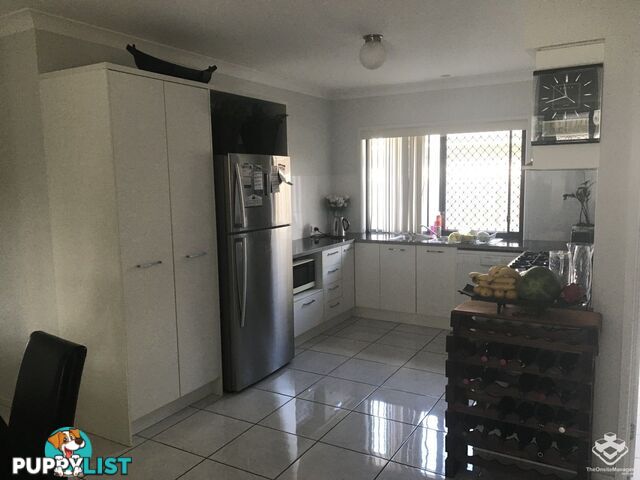 58 Odense Street Fitzgibbon QLD 4018
