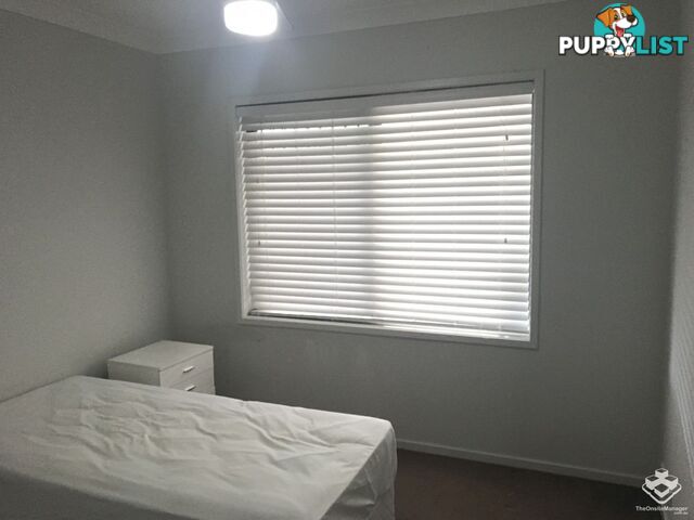 58 Odense Street Fitzgibbon QLD 4018