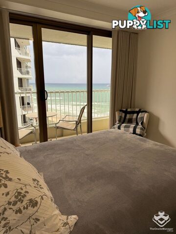 ID:21155143 60 Old Burleigh Road Broadbeach QLD 4218