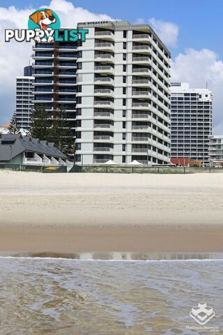 ID:21155143 60 Old Burleigh Road Broadbeach QLD 4218