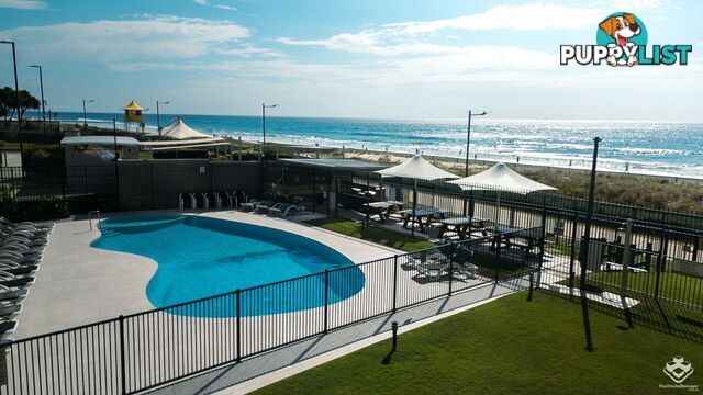 ID:21155143 60 Old Burleigh Road Broadbeach QLD 4218