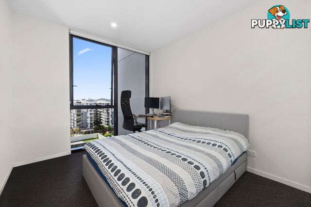 ID:21154056 14 Trafalgar Street Woolloongabba QLD 4102