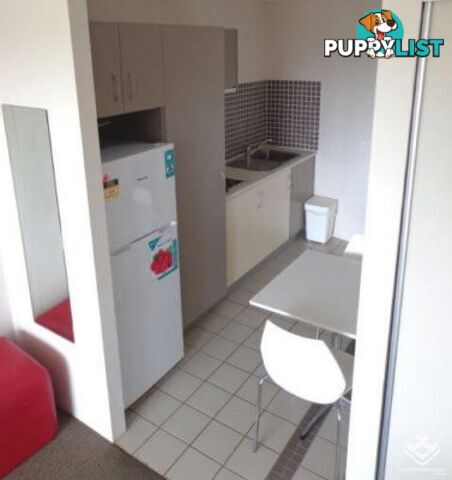 ID:21156905 25 Lake Orr Drive Robina QLD 4226