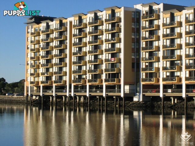 ID:21156905 25 Lake Orr Drive Robina QLD 4226