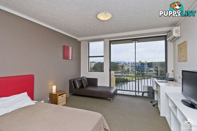 ID:21156905 25 Lake Orr Drive Robina QLD 4226