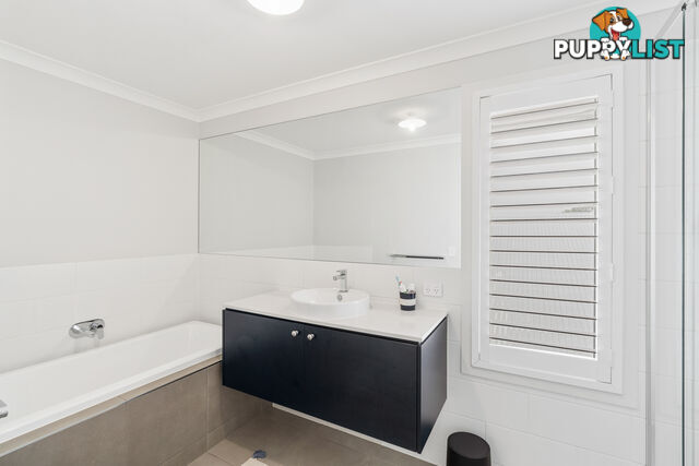 17 Lexiebell Court Bray Park QLD 4500
