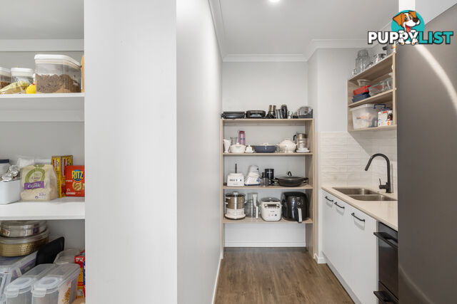17 Lexiebell Court Bray Park QLD 4500