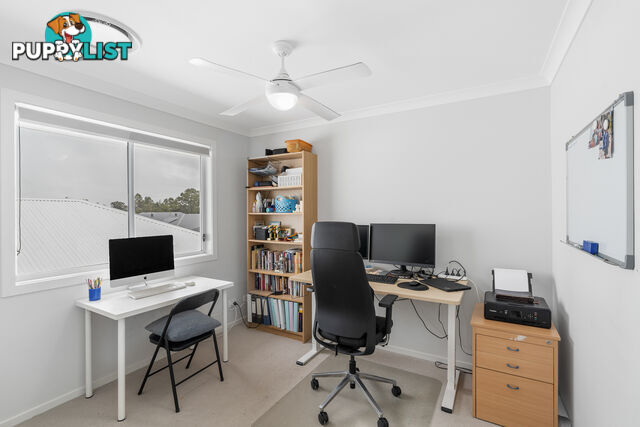 17 Lexiebell Court Bray Park QLD 4500