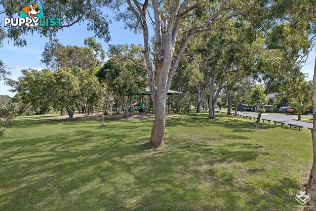 ID:21158923 23 2 Parthenia Street Boondall QLD 4034