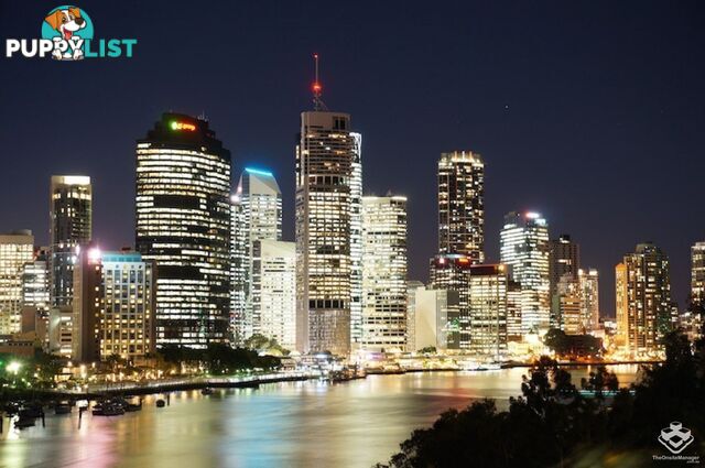 ID:21152616 21 Quinton Street Kangaroo Point QLD 4169