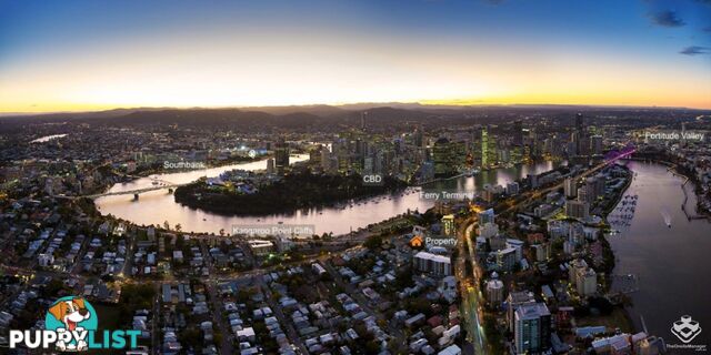 ID:21152616 21 Quinton Street Kangaroo Point QLD 4169