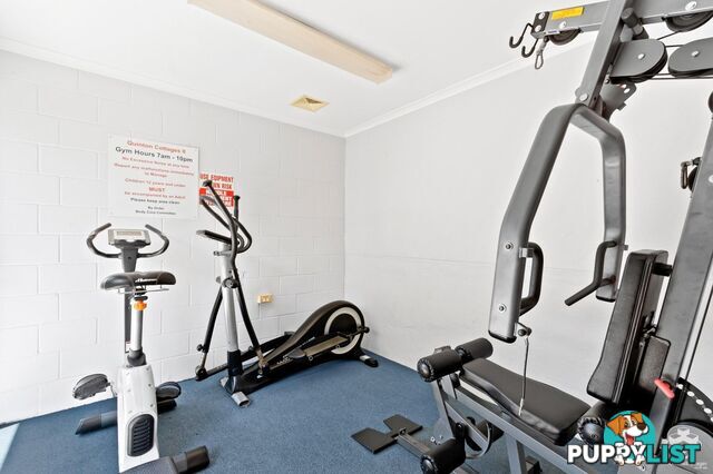 ID:21152616 21 Quinton Street Kangaroo Point QLD 4169