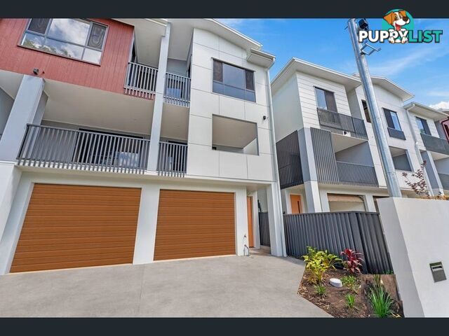 ID:3882244/2 Elizabeth Street Toowong QLD 4066