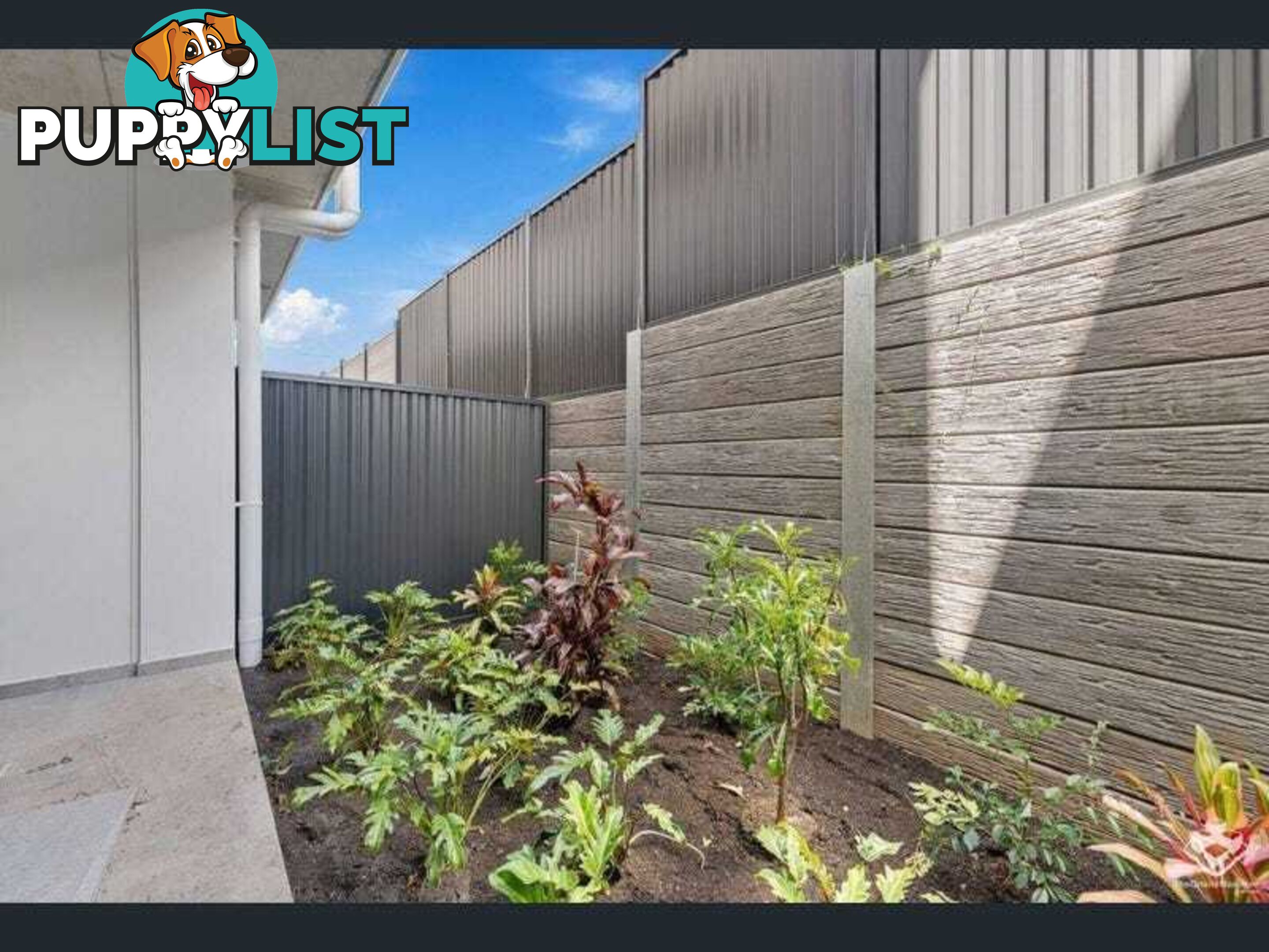 ID:3882244/2 Elizabeth Street Toowong QLD 4066