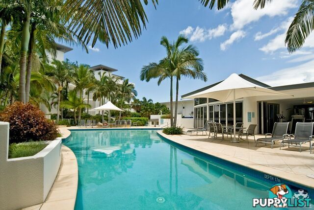 312/13 Nicklin Way Minyama QLD 4575