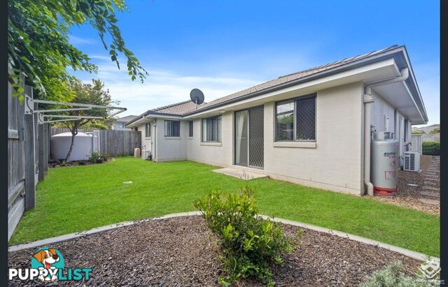 6 White Ibis Drive Griffin QLD 4503