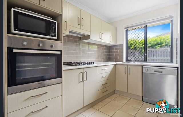 6 White Ibis Drive Griffin QLD 4503