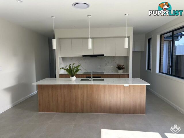 17 Airfield Street Park Ridge QLD 4125