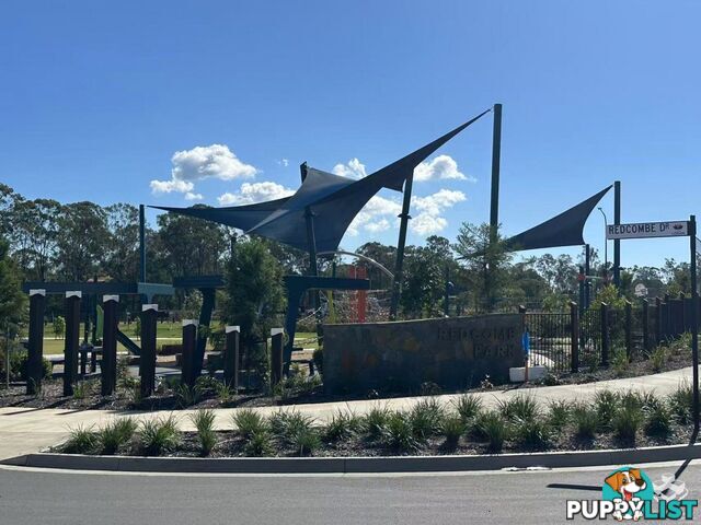 17 Airfield Street Park Ridge QLD 4125