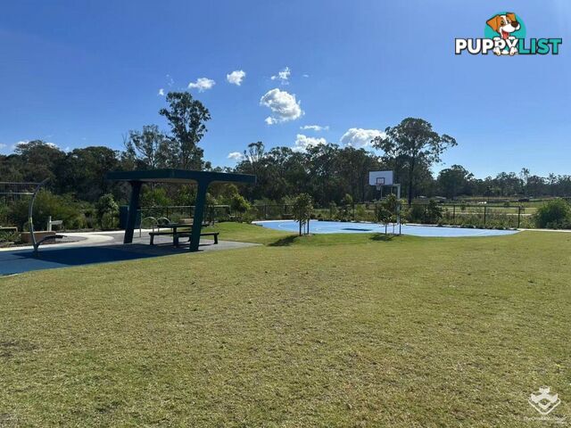 17 Airfield Street Park Ridge QLD 4125