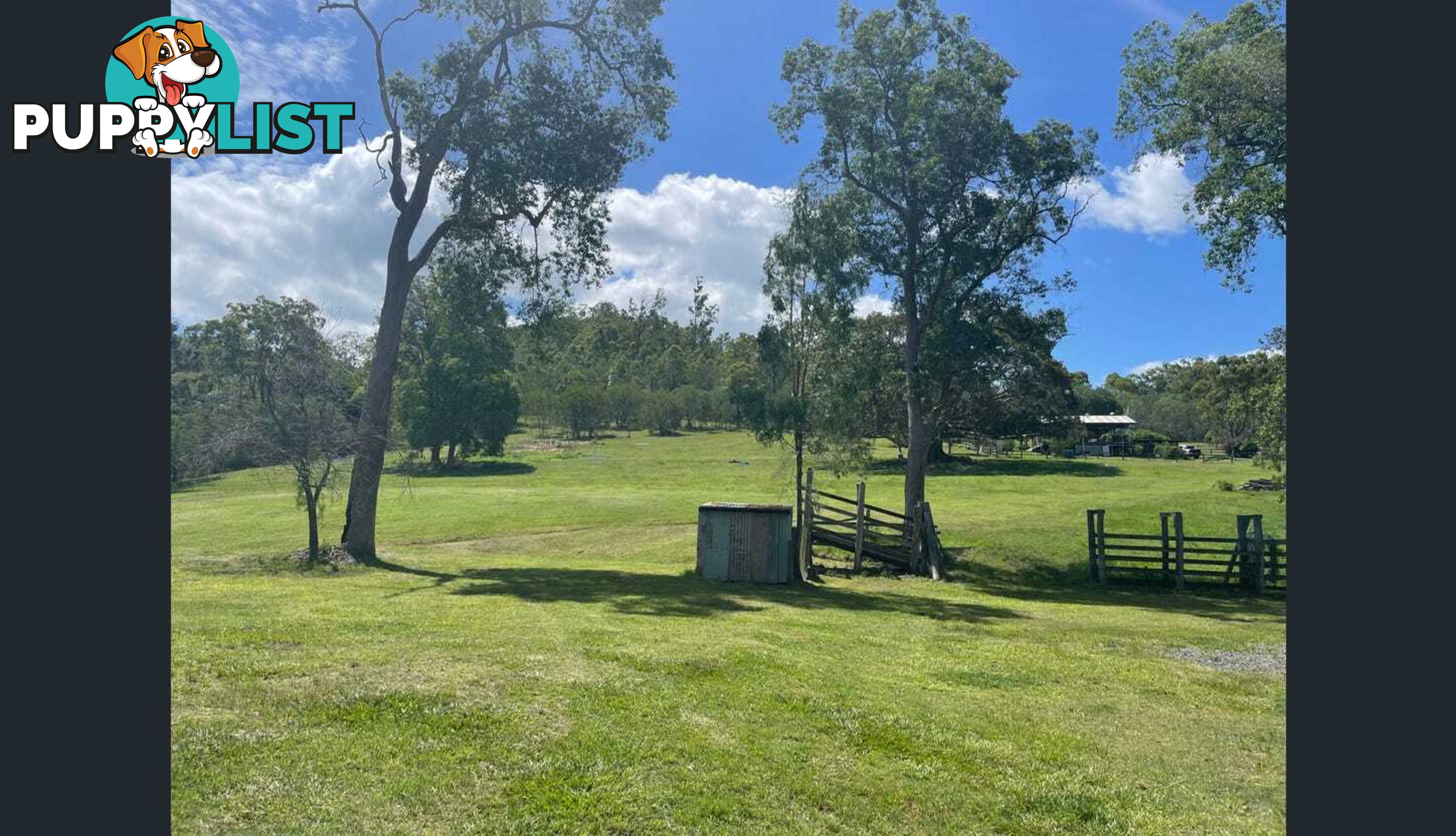 388 Swan Gully Road Bromelton QLD 4285