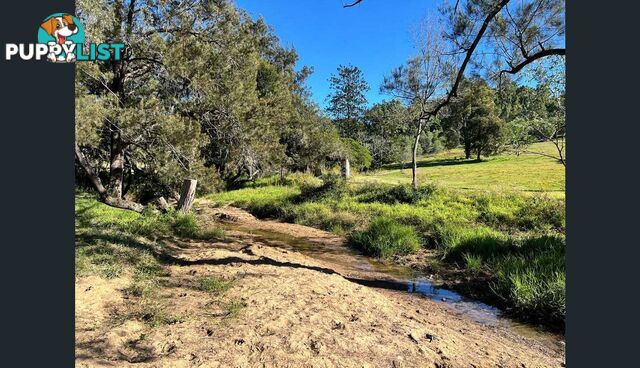 388 Swan Gully Road Bromelton QLD 4285