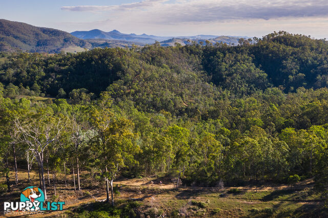 388 Swan Gully Road Bromelton QLD 4285