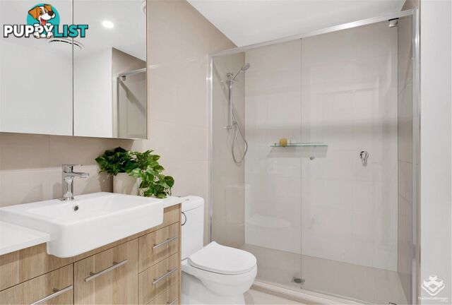 ID:21156162 35 Kelburn Street Upper Mount Gravatt QLD 4122