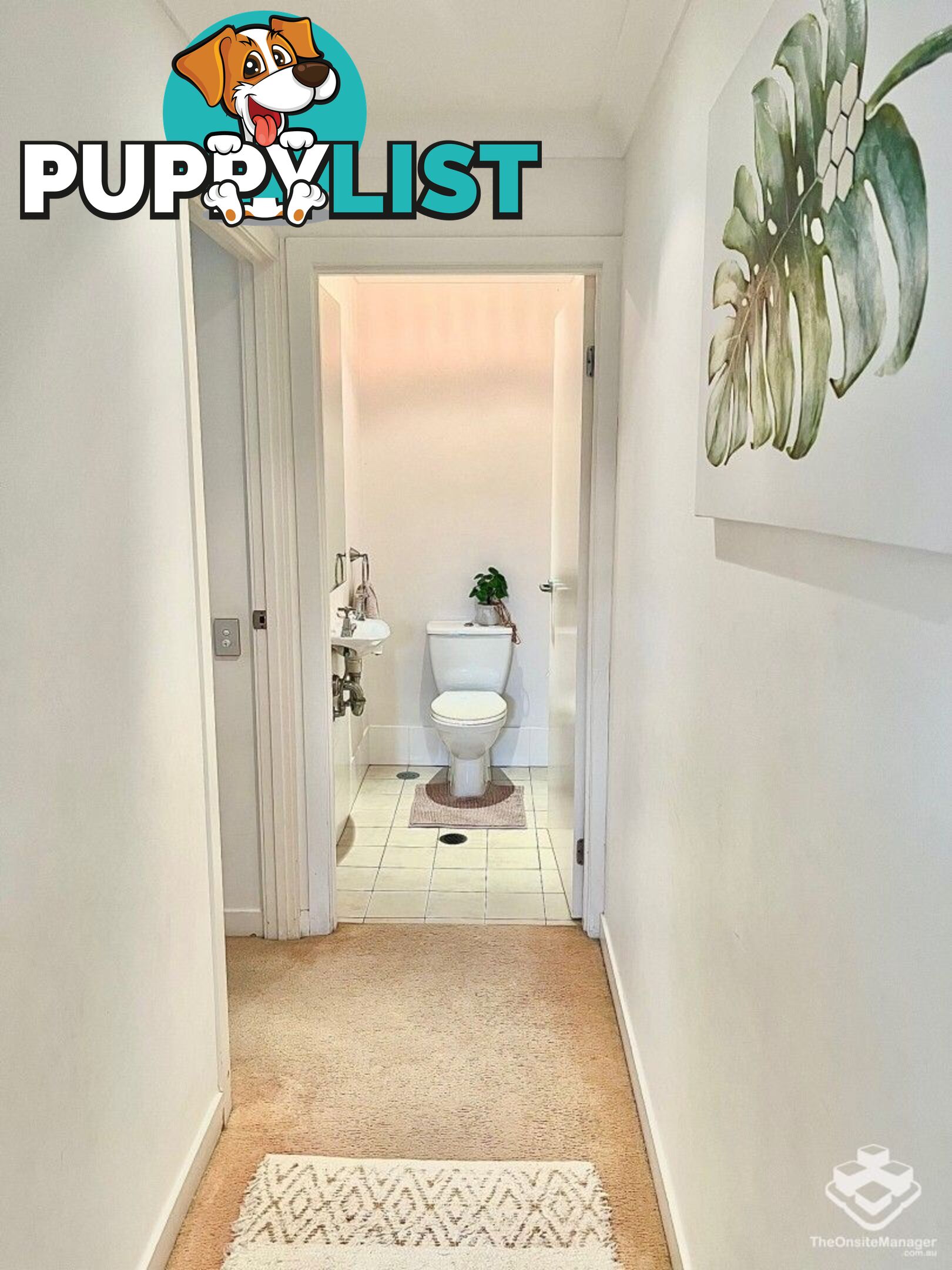 103/19 Carina Peak Drive Varsity Lakes QLD 4227
