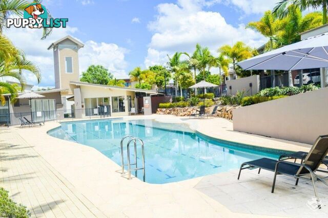 103/19 Carina Peak Drive Varsity Lakes QLD 4227