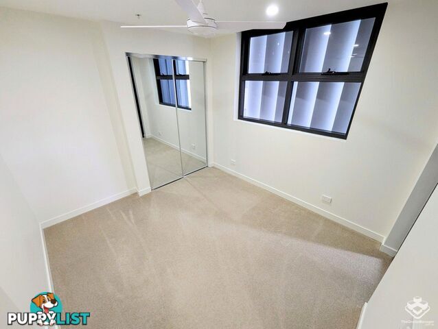 ID:21153835 21 Carl Street Woolloongabba QLD 4102