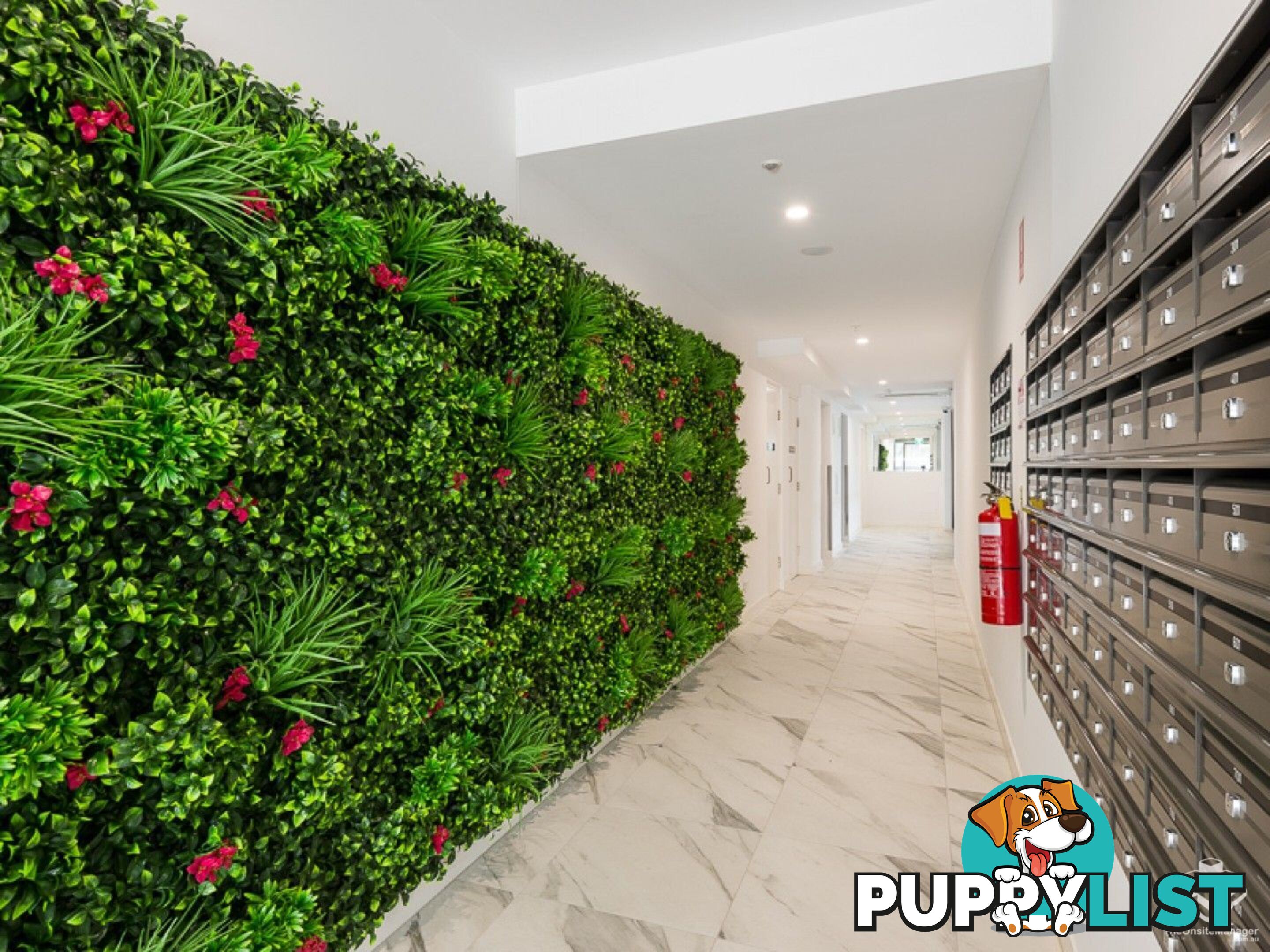 408 / 70 Carl Street Woolloongabba QLD 4102