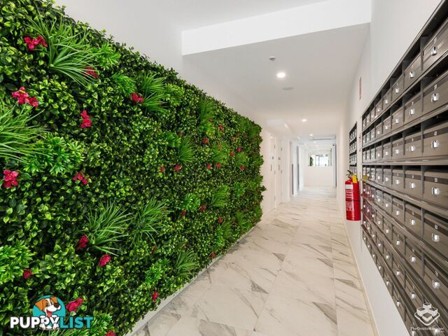 408 / 70 Carl Street Woolloongabba QLD 4102