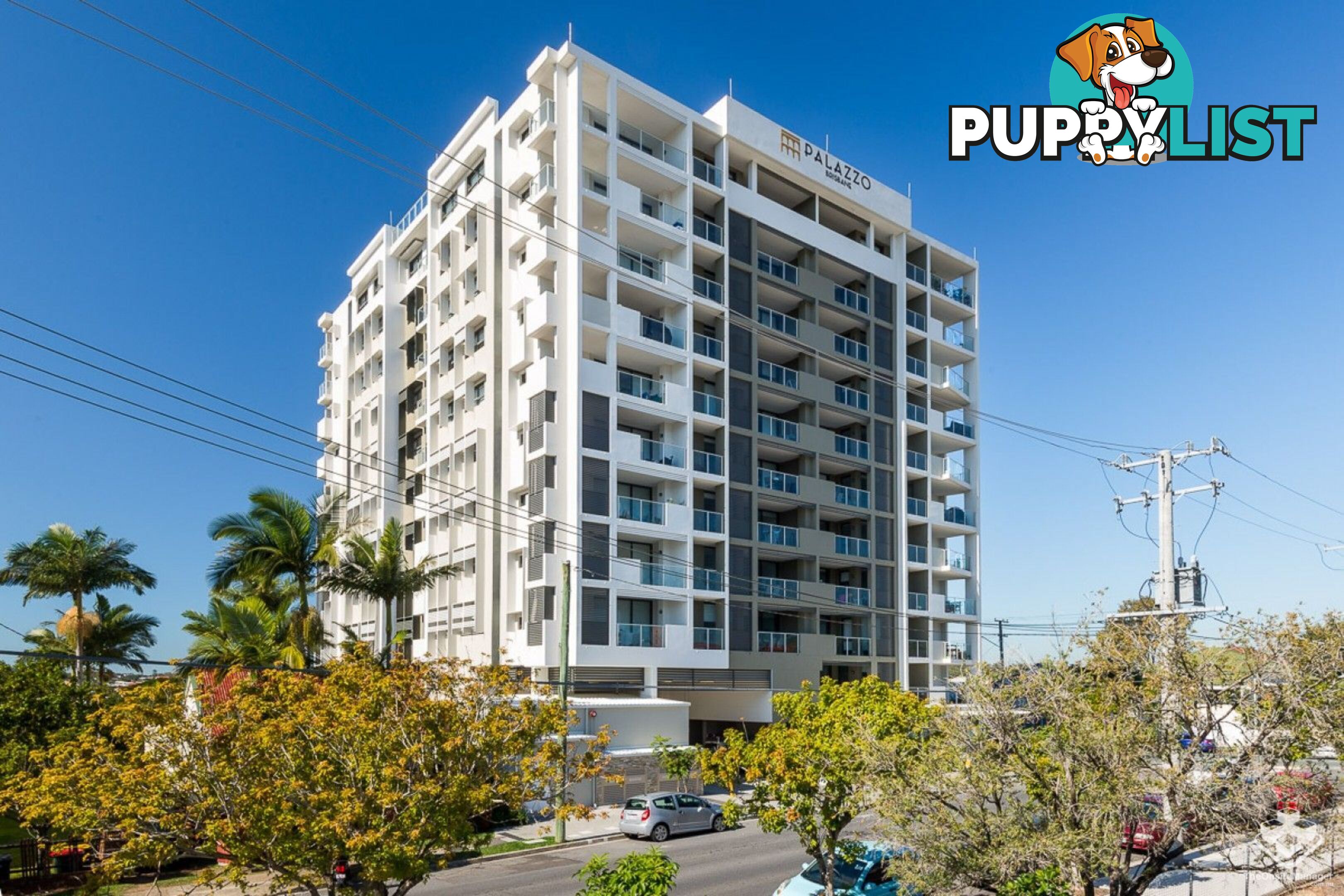 408 / 70 Carl Street Woolloongabba QLD 4102