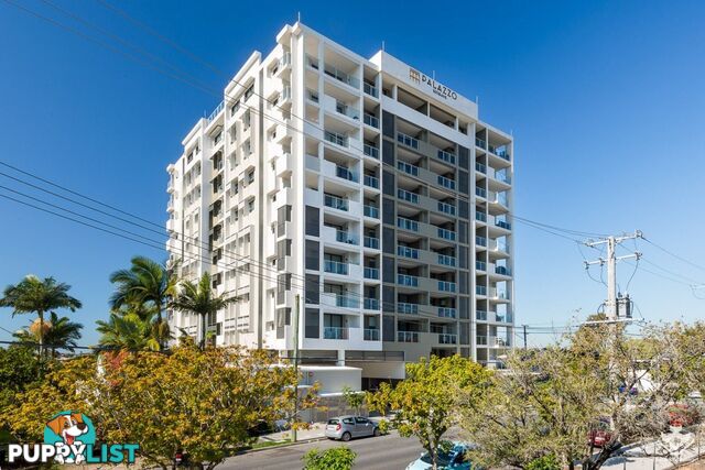 408 / 70 Carl Street Woolloongabba QLD 4102