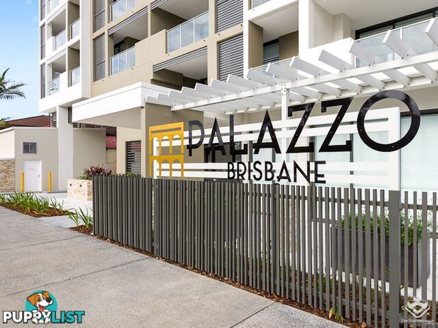 408 / 70 Carl Street Woolloongabba QLD 4102