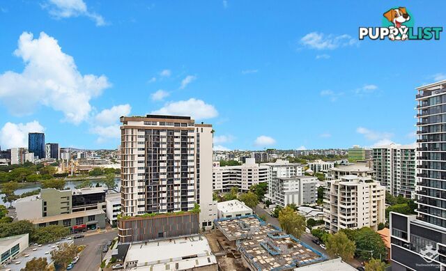 ID:21154144 13 Railway Terrace Milton QLD 4064