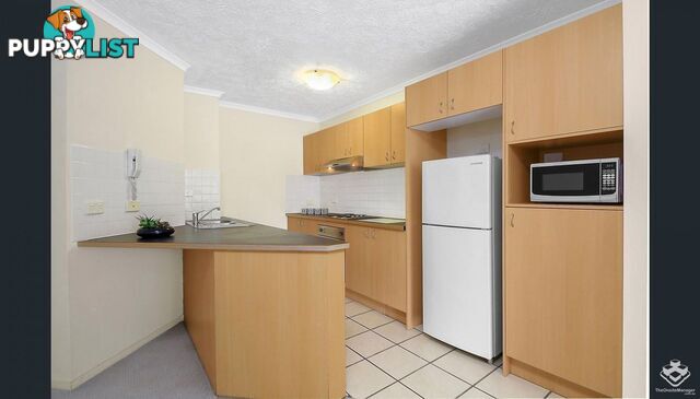 ID:21154127 8 Mascar Street Upper Mount Gravatt QLD 4122