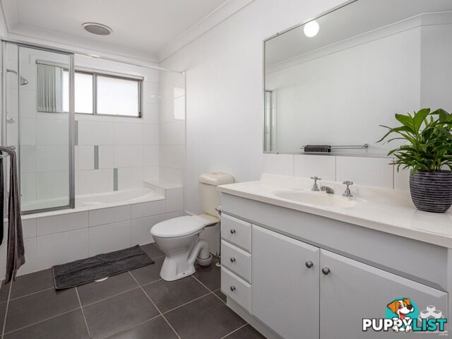 41/2 Rory Court Calamvale QLD 4116