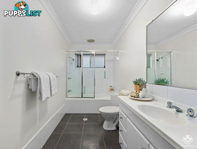 41/2 Rory Court Calamvale QLD 4116