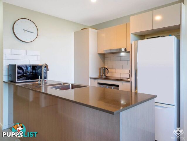 ID:21152745 37 Bryden Street Windsor QLD 4030