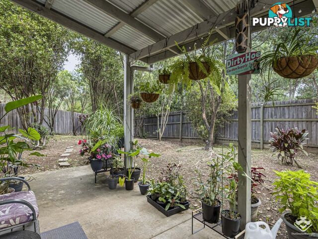 ID:21153144 325 Stanley Street Brendale QLD 4500